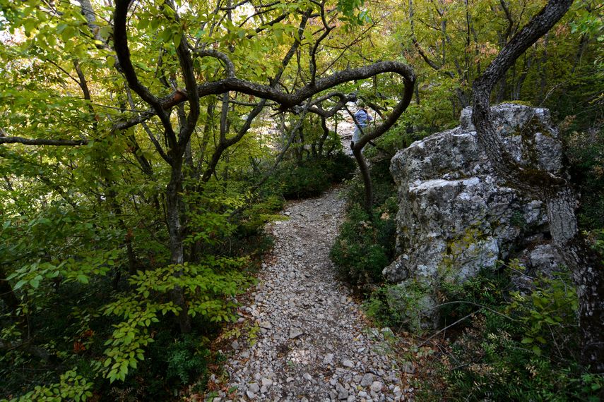 гора кошка в крыму где находится 